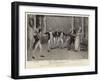 Nelson's Enchantress at the Avenue Theatre, the Ballroom Scene-Henry Marriott Paget-Framed Giclee Print