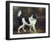 Nelson with a Terrier - Edit-Charles Henry Schwanfelder-Framed Art Print