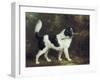 Nelson with a Terrier - Edit-Charles Henry Schwanfelder-Framed Art Print