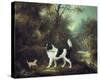 Nelson with a Terrier-Charles Henry Schwanfelder-Stretched Canvas