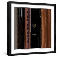 Nelson-NaxArt-Framed Art Print