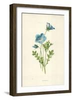 Nemophila-Frederick Edward Hulme-Framed Giclee Print