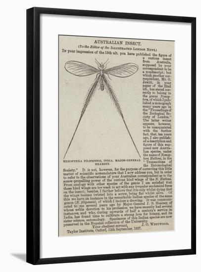 Nemoptera Filipennis, India, Major-General Hearsey-null-Framed Giclee Print