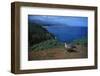 Nene Goose Walking along the Coast-W. Perry Conway-Framed Photographic Print