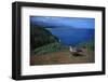 Nene Goose Walking along the Coast-W. Perry Conway-Framed Photographic Print