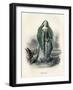 Nenuphar (Water Lily)-JJ Grandville-Framed Art Print