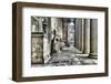 Neoclassical columns and colonnade at the front of St George's Hall, Liverpool, Merseyside, England-Panoramic Images-Framed Photographic Print