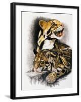 Neofelis Nebulosa-Barbara Keith-Framed Giclee Print