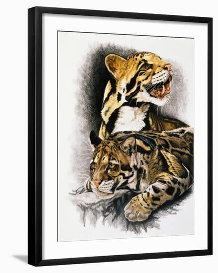 Neofelis Nebulosa-Barbara Keith-Framed Giclee Print