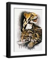 Neofelis Nebulosa-Barbara Keith-Framed Giclee Print