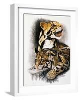 Neofelis Nebulosa-Barbara Keith-Framed Giclee Print