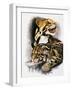 Neofelis Nebulosa-Barbara Keith-Framed Giclee Print