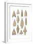 Neolithic and Bronze Age Arrowheads, Artwork-Science Source-Framed Giclee Print