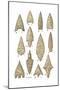 Neolithic and Bronze Age Arrowheads, Artwork-Science Source-Mounted Giclee Print