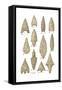 Neolithic and Bronze Age Arrowheads, Artwork-Science Source-Framed Stretched Canvas