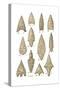 Neolithic and Bronze Age Arrowheads, Artwork-Science Source-Stretched Canvas