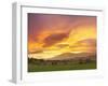 Neolithic Dawn-Doug Chinnery-Framed Photographic Print