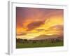 Neolithic Dawn-Doug Chinnery-Framed Photographic Print