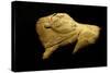 Neolithic Ivory Bison-null-Stretched Canvas