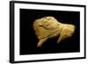 Neolithic Ivory Bison-null-Framed Photographic Print