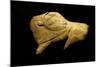 Neolithic Ivory Bison-null-Mounted Photographic Print