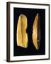 Neolithic Scrapers, from Umbria Region, Italy-null-Framed Giclee Print