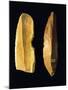 Neolithic Scrapers, from Umbria Region, Italy-null-Mounted Giclee Print