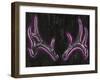 Neon Antlers I-Ethan Harper-Framed Art Print