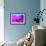 Neon Ball-Heidi Westum-Framed Photographic Print displayed on a wall