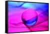 Neon Ball-Heidi Westum-Framed Stretched Canvas