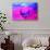 Neon Ball-Heidi Westum-Stretched Canvas displayed on a wall