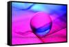 Neon Ball-Heidi Westum-Framed Stretched Canvas