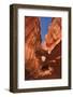 Neon Canyon I-Alan Majchrowicz-Framed Photographic Print