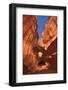 Neon Canyon I-Alan Majchrowicz-Framed Photographic Print