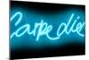 Neon Carpe Diem AB-Hailey Carr-Mounted Art Print