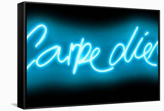 Neon Carpe Diem AB-Hailey Carr-Framed Stretched Canvas