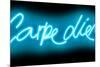 Neon Carpe Diem AB-Hailey Carr-Mounted Art Print