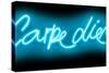 Neon Carpe Diem AB-Hailey Carr-Stretched Canvas