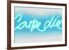 Neon Carpe Diem AW-Hailey Carr-Framed Art Print