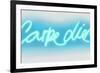 Neon Carpe Diem AW-Hailey Carr-Framed Art Print