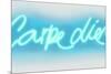 Neon Carpe Diem AW-Hailey Carr-Mounted Art Print