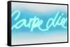 Neon Carpe Diem AW-Hailey Carr-Framed Stretched Canvas