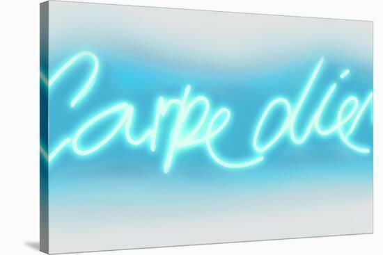 Neon Carpe Diem AW-Hailey Carr-Stretched Canvas