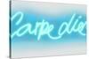 Neon Carpe Diem AW-Hailey Carr-Stretched Canvas