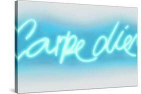 Neon Carpe Diem AW-Hailey Carr-Stretched Canvas