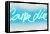 Neon Carpe Diem AW-Hailey Carr-Framed Stretched Canvas