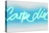 Neon Carpe Diem AW-Hailey Carr-Stretched Canvas