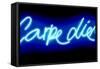 Neon Carpe Diem BB-Hailey Carr-Framed Stretched Canvas