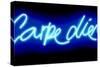 Neon Carpe Diem BB-Hailey Carr-Stretched Canvas