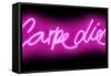 Neon Carpe Diem PB-Hailey Carr-Framed Stretched Canvas